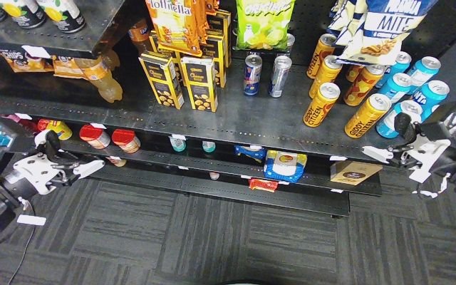 Demo 1: shelf at t1