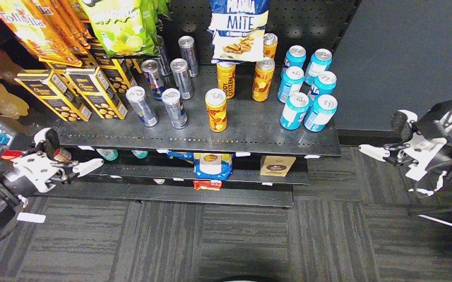Demo 2: shelf at t1